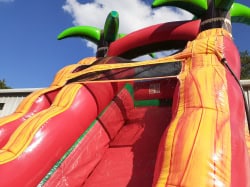 15 FT Fiesta Breeze Single Lane Slide