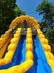 20 FT Raging Rapids Fire Dual Lane Slide